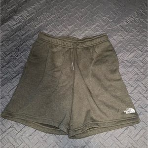 NWT THE NORTH FACE MENS SHORTS